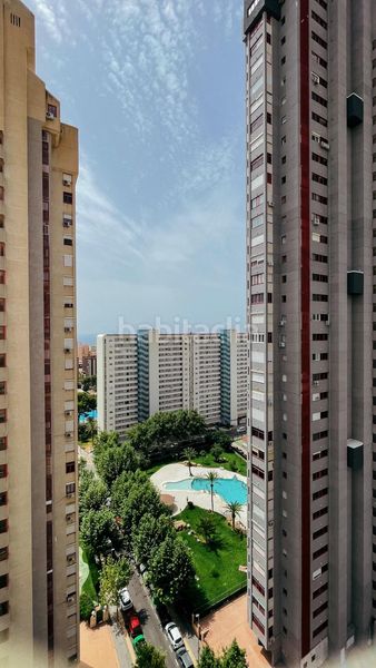 Foto cf925251-c60b-45be-b7d2-c9cbe6028062. Apartament amb piscina a Juzgados - Plaza de Toros Benidorm