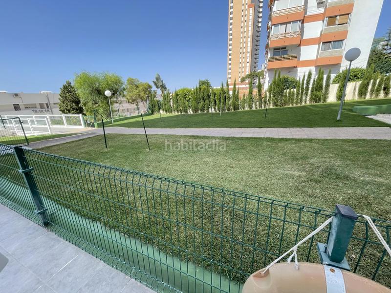 Foto 1d267394-75d2-4077-93e8-f17649b4be3b. Affitto piccolo appartamento con parcheggio in Playa Poniente Benidorm