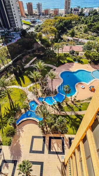 Foto 0b63ae76-03d4-4c8a-bb8b-2e96b8d3deab. Pis amb aparcament piscina a Playa Poniente Benidorm