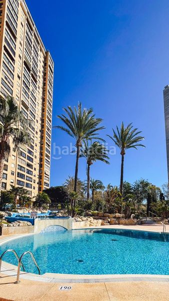 Foto 4258d697-84b2-4012-baf7-02634f809c1f. Pis amb aparcament piscina a Playa Poniente Benidorm