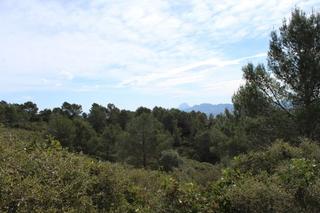 Masia a Oliva Pueblo. Finca rústica en oliva