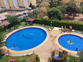 Lloguer Apartament a Playa de Gandía. Apartamento playa de gandia