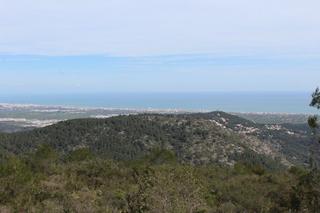Masia a Oliva Pueblo. Venta finca rústica paraje font del garroferjericull