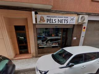 Lloguer Local Comercial a Xàtiva. Local comercial equipado para peluquería canina