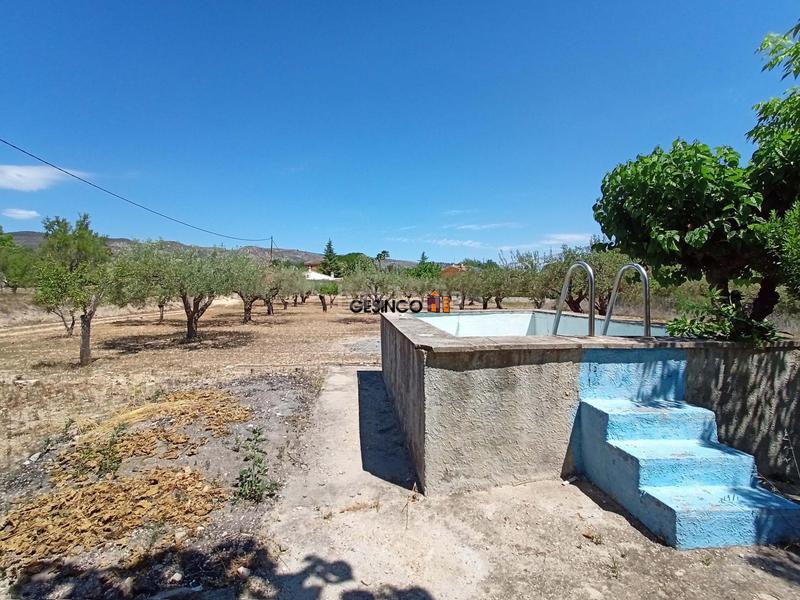 Foto 8ed594c0-8b43-455e-8f65-48d400a29017. Casa amb piscina a Santa Ana Ontinyent