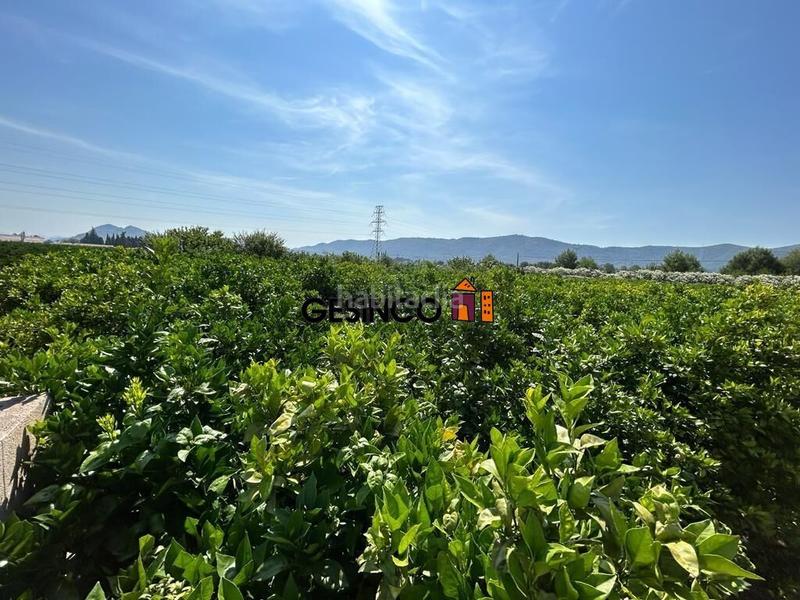 Foto 70f94477-0285-4b23-a8dc-40ab52aa38ae. Finca rústica terreno rústico de 2567 m de parcela en Canals
