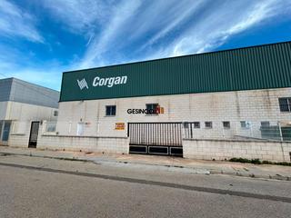 Miete Fabrikhalle in Novetlè. Nave en alquiler en el poligono industrial de novetlé