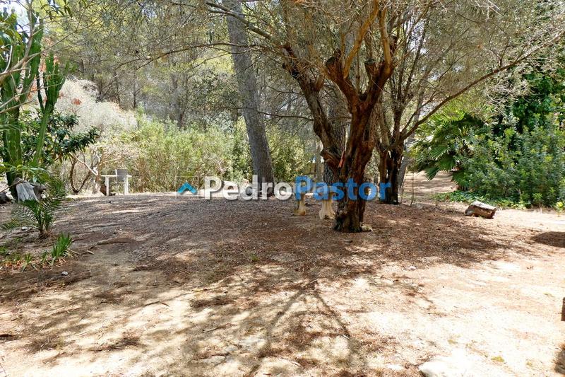 Foto c5bb4319-31c2-4d85-8b38-e70779e0bf1f. Chalet en Pedreguer