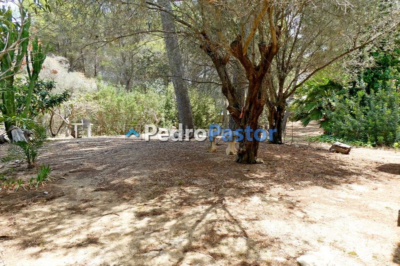 Foto c5bb4319-31c2-4d85-8b38-e70779e0bf1f. Xalet amb calefacció piscina a La Sella Pedreguer