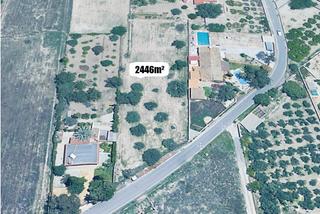 Finca rústica en Centro. Terreno rustico mutxamel 26
