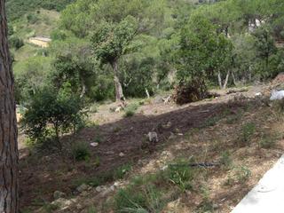 Terreny residencial  Alzina. Parcela con vista a las gavarres.