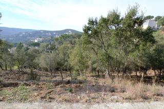 Terreno residencial en Eucaliptus 10b. Parcela muy soleada