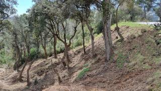 Residential Plot in Eucaliptus 8. Fantástica parcela de 1086m2