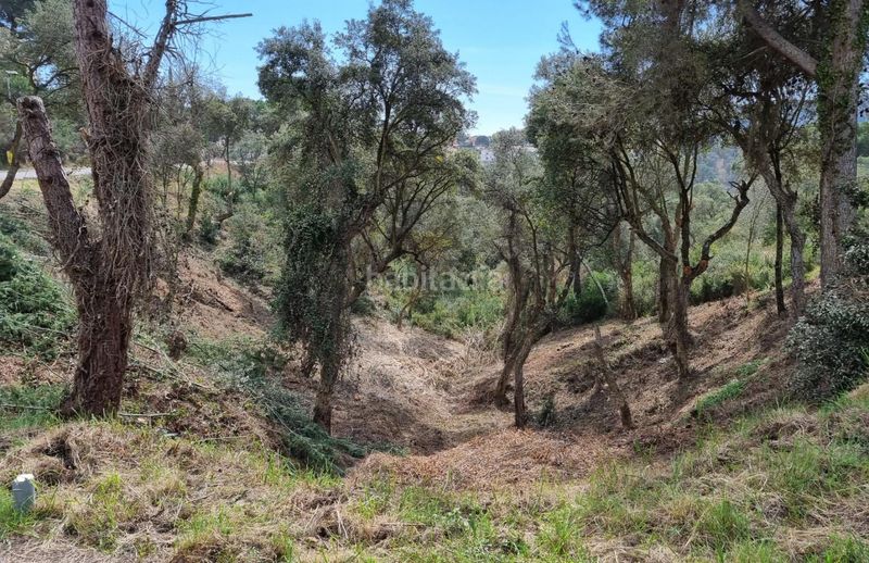 Foto bf2e7c34-000c-43d4-b255-ee5ab3c8946a. Terreny residencial a eucaliptus 8 a Mas Pere-Río de Oro Calonge