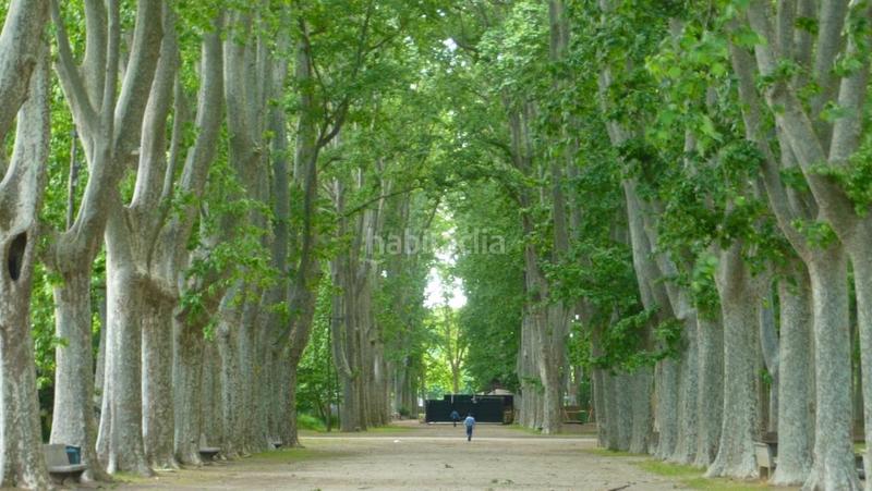 Foto 0c4e8140-9172-4563-9951-0361a81f2859. Umzug geschäftsraum in La Devesa Girona