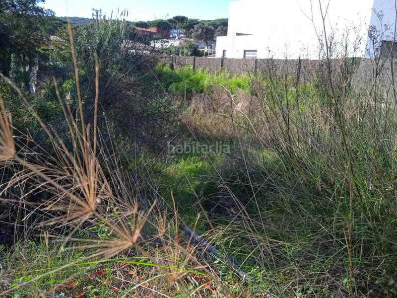 Foto cde13adf-0d44-47ef-ae66-78c90e3f0d20. Terreny residencial a ramon llull 4 a Cabanyes-Mas Ambrós-Mas Pallí Calonge