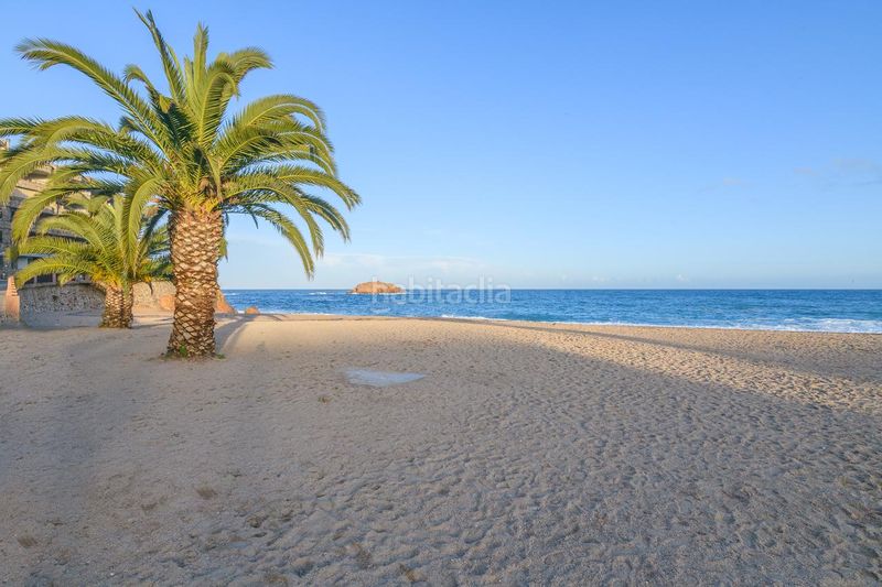 Foto f3c466ad-d4fc-472f-9dd3-f172a8574f6e. Pis amb calefacció aparcament a Tossa de Mar Tossa de Mar