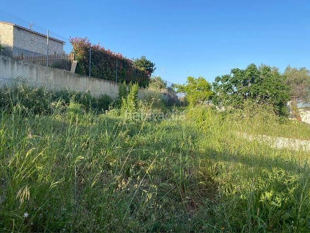 Foto 74c90ea3-4d48-4f18-a3cc-5034b2abf2b8. Xalet amb piscina a Masquefa