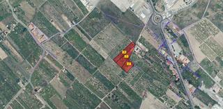 Propriété  Camino polígono. Finca rúst. en venta en burriana.