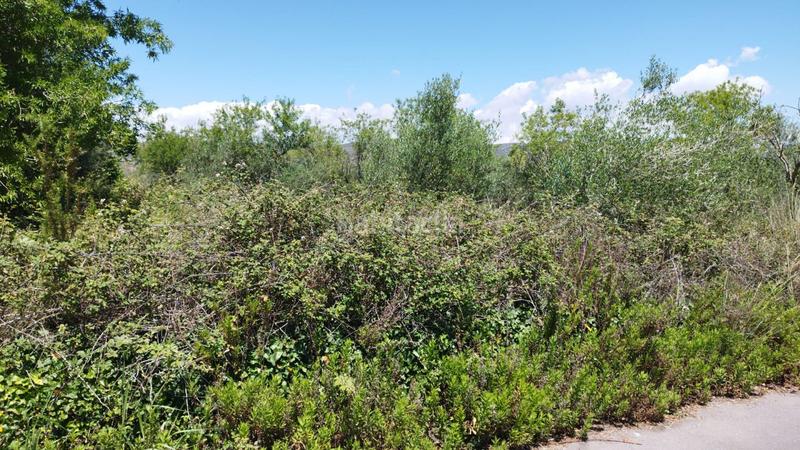 Foto 03531c7b-acec-4c0b-a18c-d1cb67187d43. Terreno residencial en cl alio solar en venta en alcala de xivert. en Alcalà de Xivert