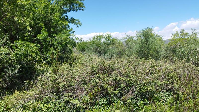 Foto 3c6fb233-5f59-4312-8f1f-45f6af691088. Terreno residencial en cl alio solar en venta en alcala de xivert. en Alcalà de Xivert