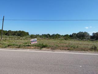 Mas à Mesquida. Finca rúst. en venta en alcala de xivert.