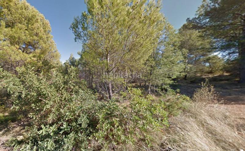Foto a23231f7-b6d2-4d9a-9bfb-c8a7d8a57b29. Finca rústica en calle poligono 29 26 finca rúst. en venta . en Onda