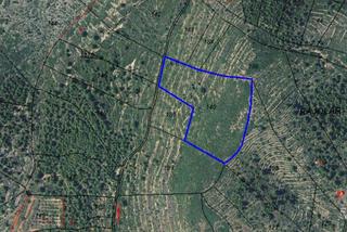 Masia a Partida coll 14. Finca rúst. en venta en alcala de xivert.