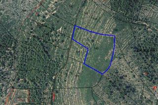 Mas à Alcossebre. Finca rúst. en venta en alcala de xivert.