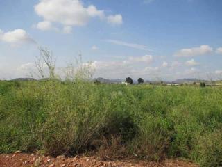 Terreny residencial  Rafol poligono 3, parcela 637. Finca rúst. en venta en chilches.