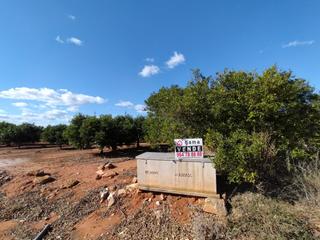 Terreny residencial  Benadresa. Terreno rústico en venta en camino la plana.