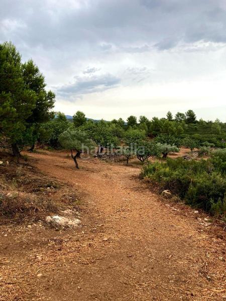Foto 1189ba61-0d79-4169-8589-efa3232c117d. Terreno residencial terreno rústico en venta en vall d´alba. en Vilafamés
