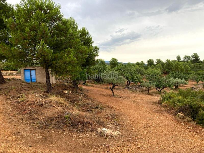 Foto 13c02676-68e1-466d-89c0-8d3d12a2dfab. Terreno residencial terreno rústico en venta en vall d´alba. en Vilafamés