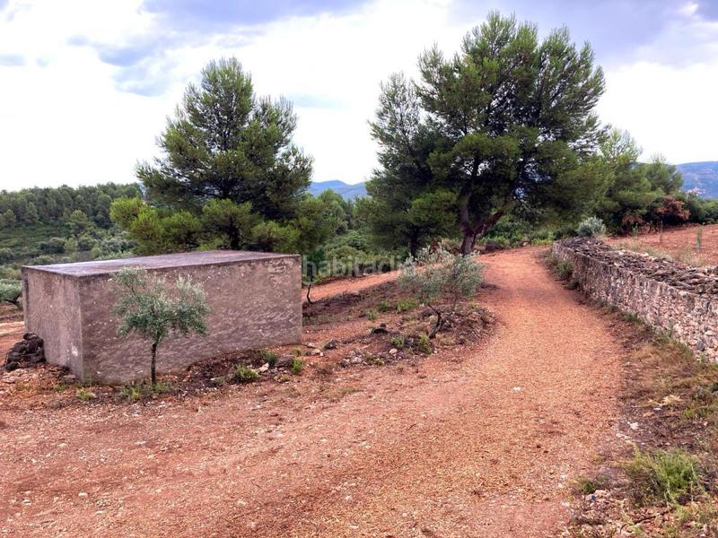 Foto 35fadc3f-1c73-4536-a408-56a6e47518ed. Terreno residencial terreno rústico en venta en vall d´alba. en Vilafamés