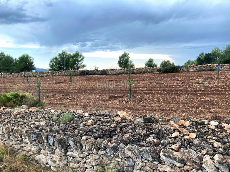 Foto 6f93c0fb-0a83-47b9-8253-62f9da0f7b52. Terreno residencial terreno rústico en venta en vall d´alba. en Vilafamés