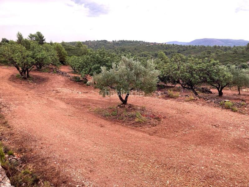 Foto b5d90294-60ab-4c20-84e9-3124b5587774. Terreno residencial terreno rústico en venta en vall d´alba. en Vilafamés