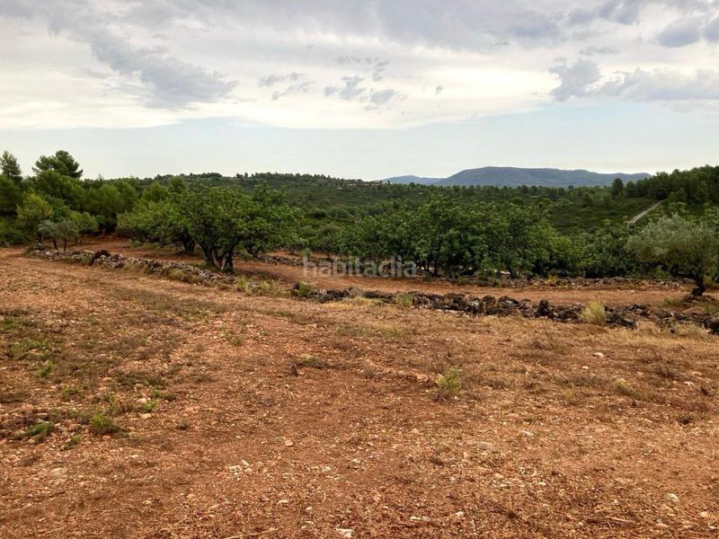 Foto d6a0139a-0be2-4c8a-b800-8edb51e5418a. Terreno residencial terreno rústico en venta en vall d´alba. en Vilafamés