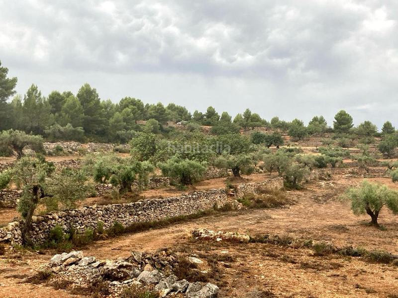 Foto ec34fda6-5473-4675-88ac-678a217ae414. Terreno residencial terreno rústico en venta en vall d´alba. en Vilafamés