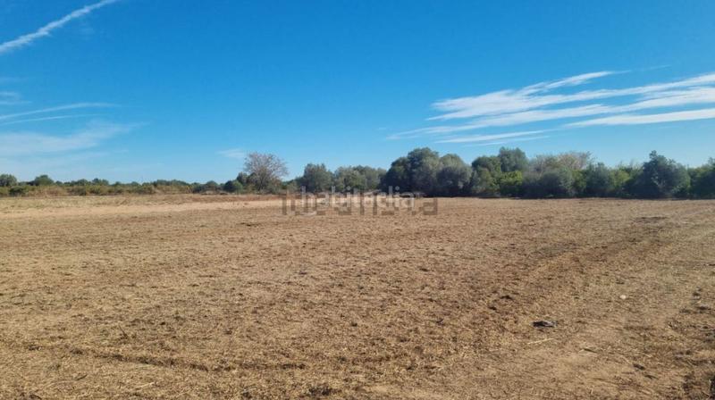 Foto 40dc2190-90a2-4513-b0cd-6b6cfee8fdcb. Chalet in Centro Burriana