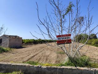 Terrain résidentiel  Cv-1850. Terreno rústico en venta en burriana.