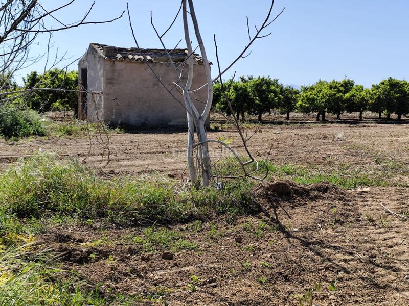 Foto 433f074a-8d72-4ecb-8722-de27281b0256. Terreno residencial terreno rústico en venta . en Burriana