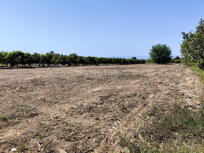 Foto 7c93c369-cc42-463d-b198-7769aba1b852. Terreno residencial terreno rústico en venta . en Burriana