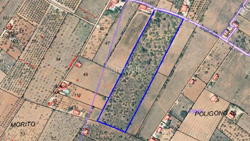 Foto 068bf445-3ef9-45cc-87b6-bb78000686f7. Terreny residencial a Alcossebre