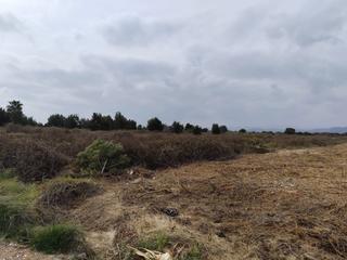 Terreny residencial a N/a 29. Solar en venta en sagunto  sagunt.
