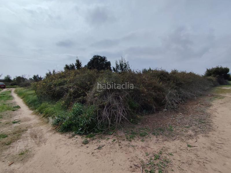 Foto cb5a11d2-f80d-4874-967a-b14e3ac4faff. Residential plot in sector sunp 29 in Centro-El Castillo Sagunt