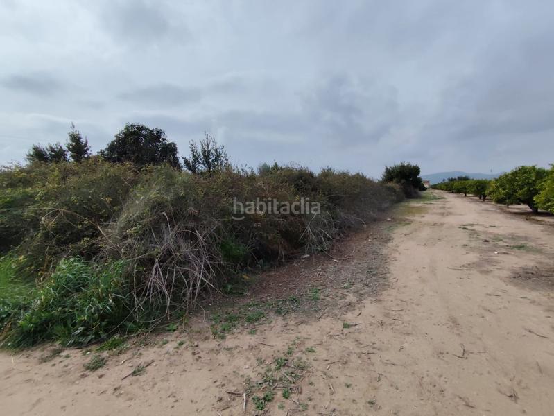 Foto 9995ba80-17b9-4869-a315-887e9c67d3c8. Terreny residencial a sendero de montiver s/n a El Baladre Sagunt