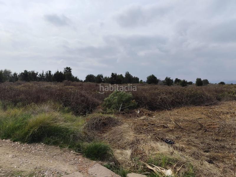 Foto e8219b61-c764-465e-a9ae-04572640ddf5. Terreny residencial a sendero de montiver s/n a El Baladre Sagunt