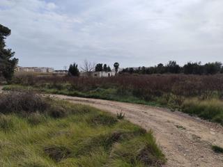 Terreny residencial a Sector sunp-4 playa de sagunto 29. Solar en venta en sagunto  sagunt.