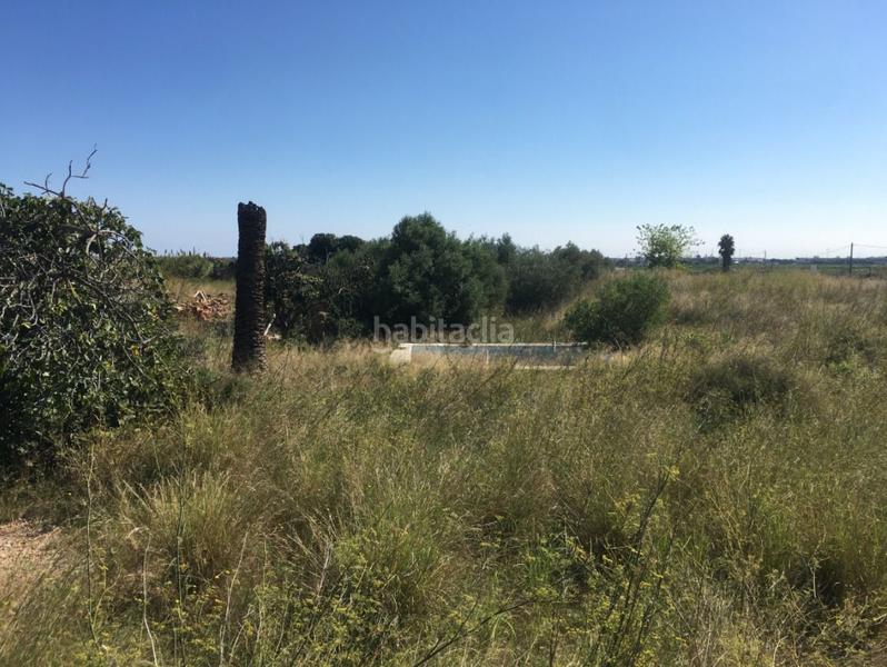 Foto 22616dff-cb4b-4411-8e54-97c193227f4b. Bauernhof in Pau Lledó Castellón de la Plana