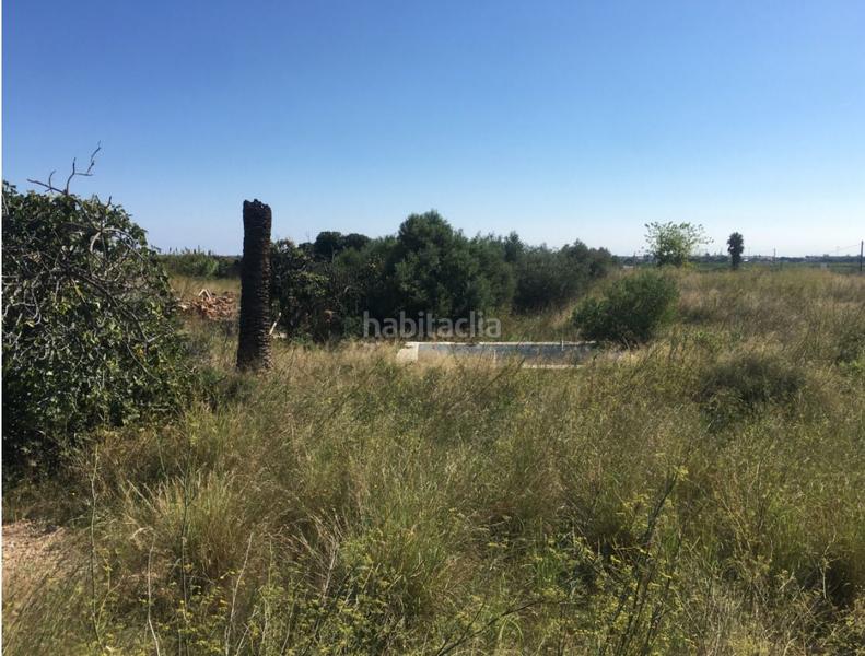 Foto b8f9d665-d38f-490d-bb52-763dff503294. Bauernhof in Pau Lledó Castellón de la Plana